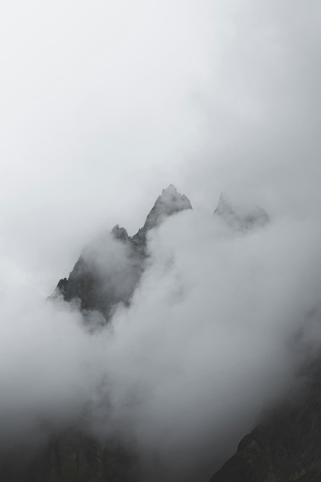 Beni能不能去浪姐 网友火热呼吁